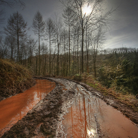 Buy canvas prints of Red Mud by Nick Pound