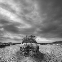 Buy canvas prints of Island in the Mudflats by Nick Pound