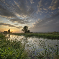 Buy canvas prints of Sunset at Kings Sedgemoor Drain by Nick Pound