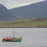 Buy canvas prints of  Orkney Fishing by Nick Pound