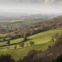 Buy canvas prints of A View From Cothelstone Hill by Nick Pound