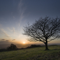 Buy canvas prints of  Sunset from Cothelstone Hill by Nick Pound