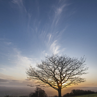 Buy canvas prints of Sunset from Cothelstone Hill by Nick Pound