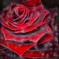 Buy canvas prints of  Fractalius Rose by Nick Pound