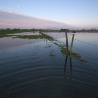 Buy canvas prints of The River Parrett in Flood by Nick Pound