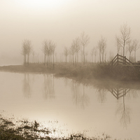 Buy canvas prints of Misty Morning on the River  by Nick Pound