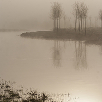 Buy canvas prints of Misty Morning on the River  by Nick Pound