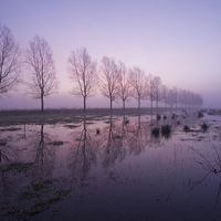 Buy canvas prints of Mist Dawn by Nick Pound