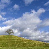 Buy canvas prints of Burrow Hill by Nick Pound
