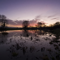 Buy canvas prints of  Dawn at King's Sedgemoor Drain  by Nick Pound