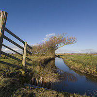 Buy canvas prints of Gatepost and Ditch on the Somerset Levels by Nick Pound