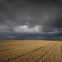 Buy canvas prints of Stubble and Storm by Nick Pound