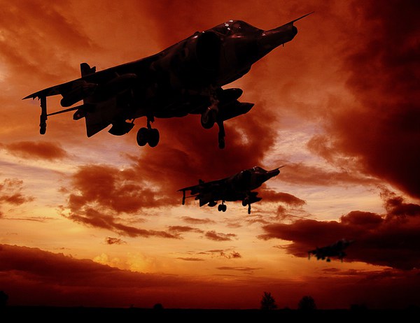 Harriers at sun rise Picture Board by sean clifford