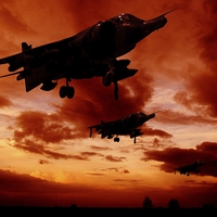 Buy canvas prints of Harriers at sun rise by sean clifford