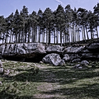 Buy canvas prints of St Cuthberts Cave, Northumberland by Julia Whitnall