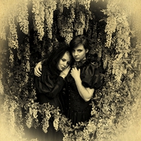 Buy canvas prints of British Gothic#6: The Babes In the Wood (Sepia) by Julia Whitnall