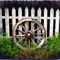 Buy canvas prints of Wagon Wheel by Julia Whitnall