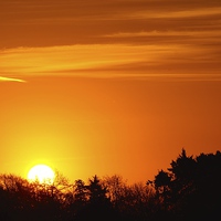 Buy canvas prints of  Sun Rise Over Wendover Woods by Peter Farrington