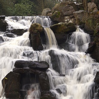 Buy canvas prints of  Virginia Water Falls by Peter Farrington
