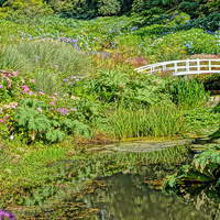 Buy canvas prints of Great Gardens Of Cornwall by Peter Farrington