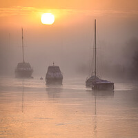 Buy canvas prints of Misty Morning in Wareham Dorset  by Shaun Jacobs