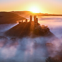 Buy canvas prints of Corfe Castle foggy sunrise  by Shaun Jacobs