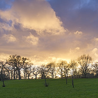Buy canvas prints of Sunset over trees  by Shaun Jacobs