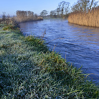 Buy canvas prints of Frosty morning by the river by Shaun Jacobs