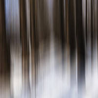 Buy canvas prints of Motion blur  by Shaun Jacobs
