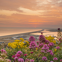 Buy canvas prints of Chesil Beach sunset  by Shaun Jacobs