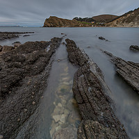 Buy canvas prints of Lulworth cove ledges  by Shaun Jacobs