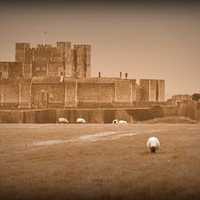Buy canvas prints of Dover Castle. by Mark Franklin