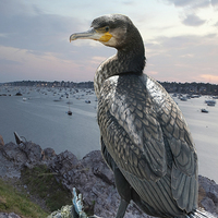 Buy canvas prints of  cormorant over harbour by keith hannant