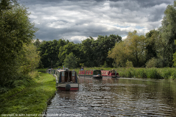 tixall  wide staffs and worcester  canal  Picture Board by keith hannant
