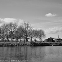 Buy canvas prints of river trent scout huts in monochrome  by keith hannant