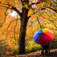 Buy canvas prints of Autumn Colours in the Rain by Kelvin Trundle