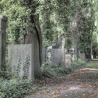 Buy canvas prints of Jewish Cemetery, Berlin by Julie Woodhouse