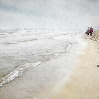 Buy canvas prints of A Walk on the Beach by Julie Woodhouse