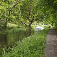 Buy canvas prints of Cromford Canal by Julie Woodhouse