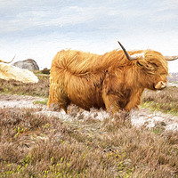 Buy canvas prints of Highland Cattle by Julie Woodhouse