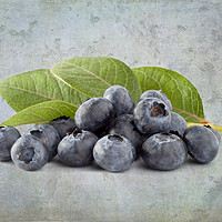 Buy canvas prints of Blueberries by Julie Woodhouse