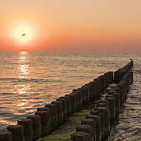 Buy canvas prints of Baltic sunset by Julie Woodhouse