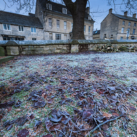 Buy canvas prints of Frosty morning in Painswick by Iksung Nah