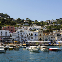 Buy canvas prints of The Harbour at Capri by Michelle BAILEY