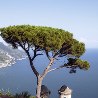 Buy canvas prints of Ravello Vista by Michelle BAILEY