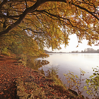 Buy canvas prints of  A shot of Knypersley Reservoir, Stoke-on-Trent by John Keates