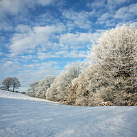 Buy canvas prints of Frost covered trees in winter by John Keates