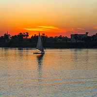 Buy canvas prints of Sunset on the Nile River with Felucca boat sailing by John Keates