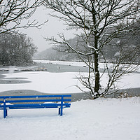 Buy canvas prints of A snow covered blue bench at Bathpool Kidsgrove St by John Keates