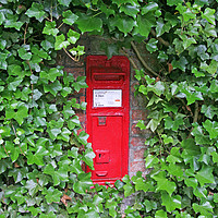 Buy canvas prints of A red Victorian post box in an ivy covered wall by John Keates